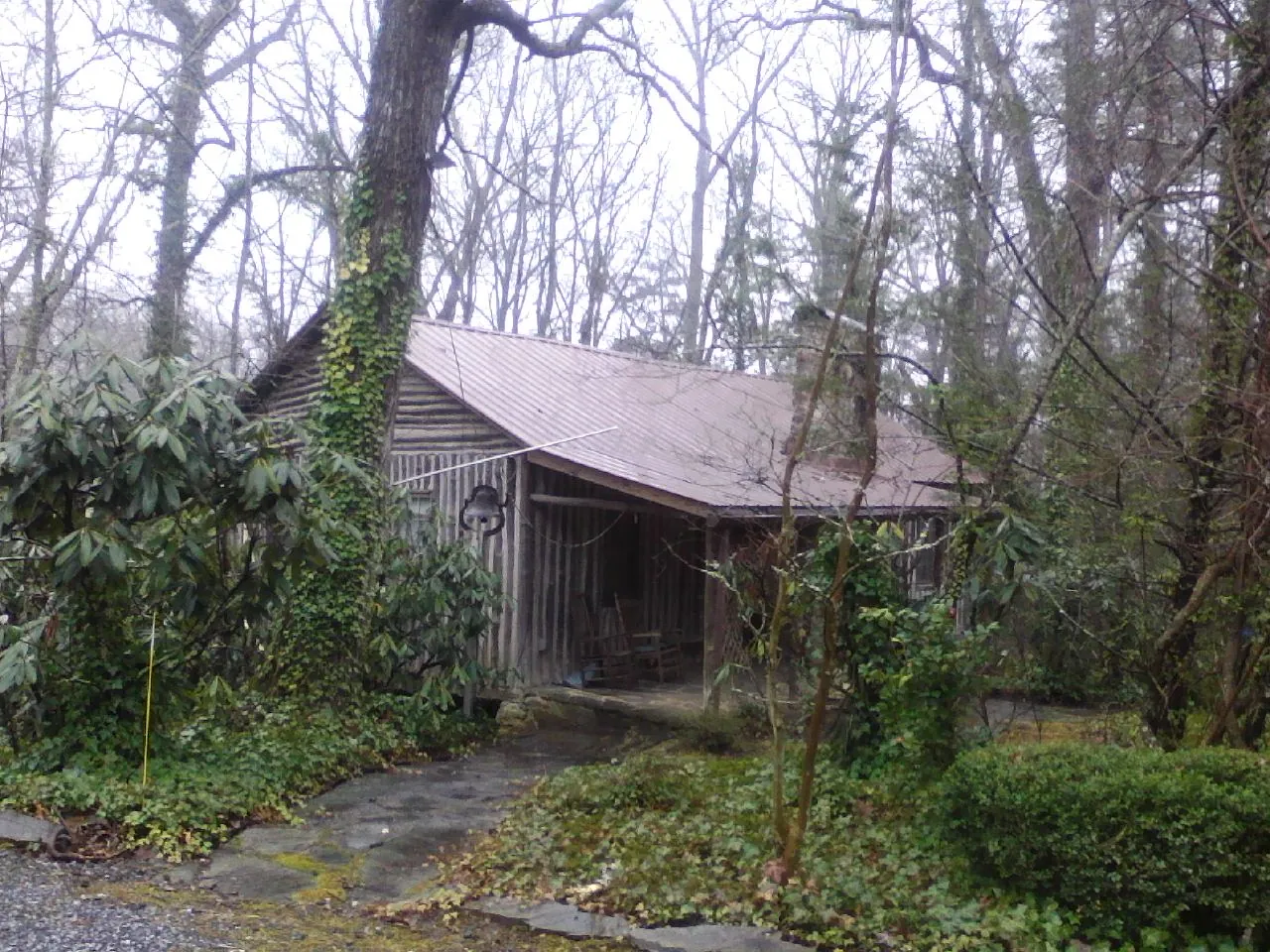 Weathered metal roof on an old board sided cabin in the woods in Persia